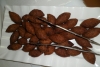 SAM_2352