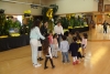 SAM_2493