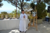 SAM_2907