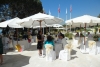 SAM_2923