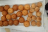 SAM_2934