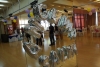 SAM_3012