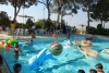 SAM_3305
