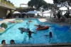 SAM_3414