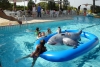 SAM_3437