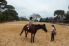 SAM_3350