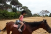 SAM_3352