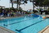 SAM_3517