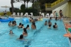 SAM_3612