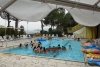 SAM_3619
