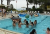 SAM_3623
