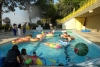 SAM_3791