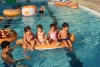 SAM_3801