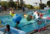 SAM_3806