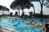 SAM_3870