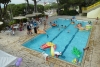 SAM_3881