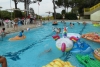 SAM_3902