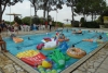 SAM_3904