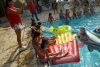 SAM_3917