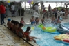 SAM_3921