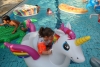 SAM_4041