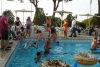SAM_4069