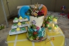 SAM_4091