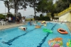 SAM_4249