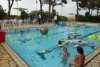 SAM_4301