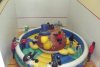SAM_4536
